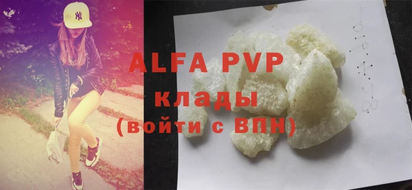 крисы Бородино