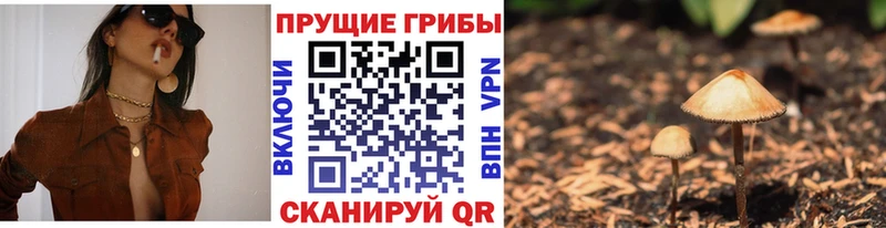 где можно купить наркотик  Ростов  Галлюциногенные грибы мухоморы 